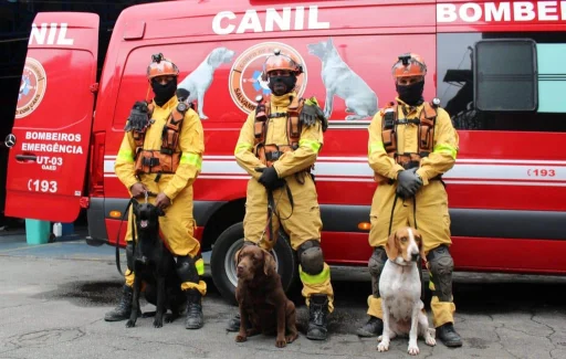 caes-bombeiros-2048&#215;1298-1-1024&#215;649-1