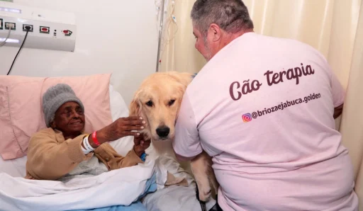 caoterapia-1000&#215;582-1