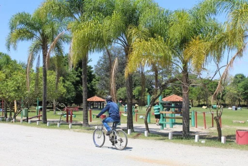 pu-ecologico-do-tiete-pet_30-bicicleta-playground-1024&#215;683-1