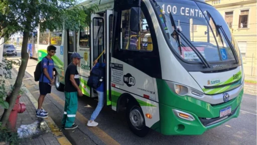 linha-100