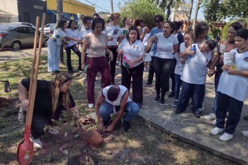 imagem-em-destaque-plantio-de-mudas