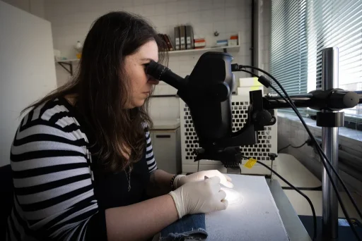 laboratorio-da-secretaria-de-saude-que-trabalha-com-o-mosquito-aedes-aegypti-1024&#215;683-1
