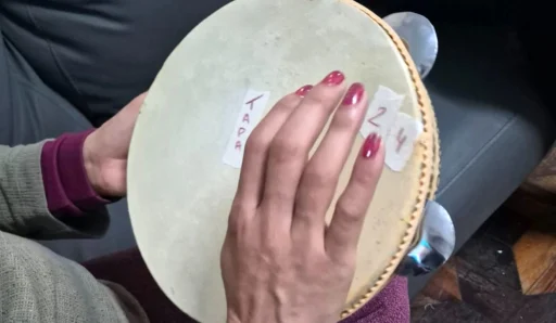 pandeiro