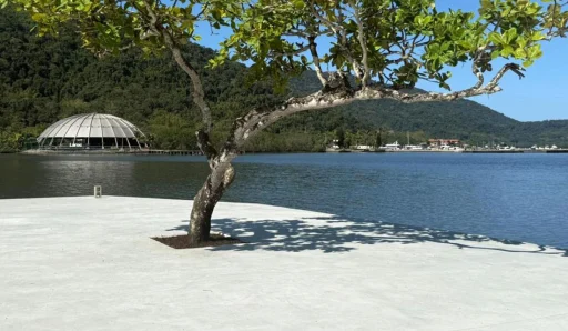 portinho