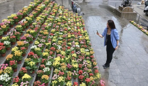 primavera-criativa