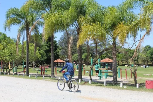 pu-ecologico-do-tiete-pet_30-bicicleta-playground-1024&#215;683-1